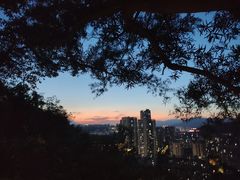 -福道