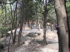 -火炉山森林公园