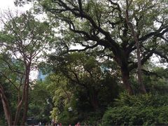 iphone_upload_pic-九龙公园
