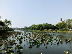 -新江湾城公园