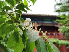 -大钟寺古钟博物馆