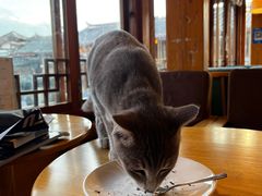-猫的天空之城概念书店(丽江古城饮玉巷店)