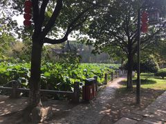 -丝绸小镇荻港古村