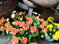 -阳光家常菜游客餐厅(千佛山店)