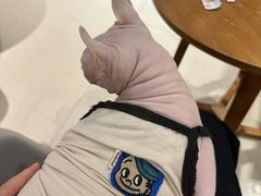 -藏猫猫咖啡主题馆(中央大道店)