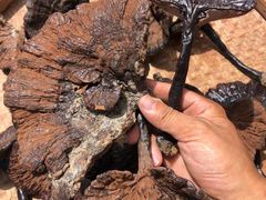 -深圳市人民医院(留医部)