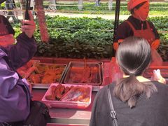 -东北农业大学
