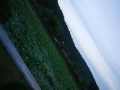 -龙寺生态园