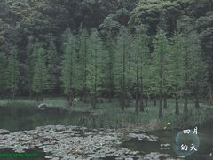 -广州市石门国家森林公园