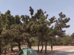 -日照海滨国家森林公园