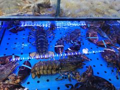 -日照大牌檔•小船海鲜(万平口店)