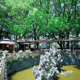 河西繁华中的宁静，近在咫尺的农家乐