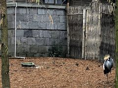 -宁波杭州湾国家湿地公园
