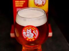 -Boxing Cat Brewery拳击猫精酿啤酒馆(永福店)