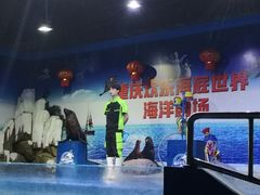 -重庆欢乐海底世界