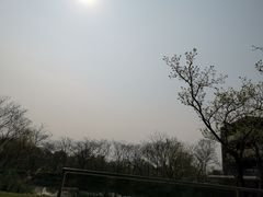 -木守西溪溪隐餐厅