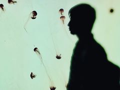 -沈阳海洋探索中心