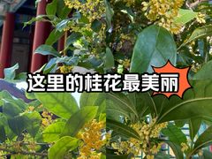 -颐和园