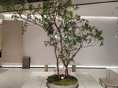 -喜茶(深圳东门1234店)