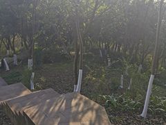 -竹涧府
