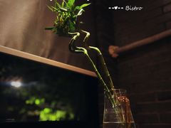 -Bistro Les Lilas丁香花小酒馆
