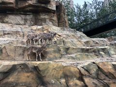 -大连森林动物园