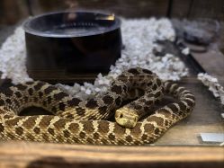 -Zoolung Zoolung动物主题公园(海信广场店)