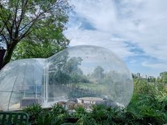 -Supine Bistro溯泮餐厅