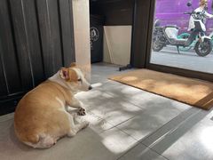 -Tequila Espresso(嘉善路店)