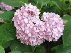 -常州古运河南大街文化旅游区-人民公园