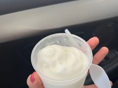 -洪馨椰子