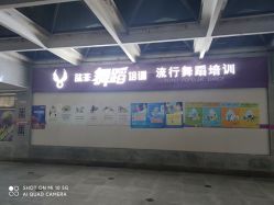-欲非舞蹈