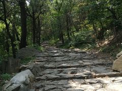 -阳台山自然风景区