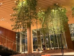 -北京望京凯悦酒店The Lounge大堂酒廊