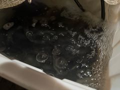 -九州酒场ひこぞう(2号店)