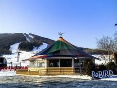 -中旅松花湖滑雪场