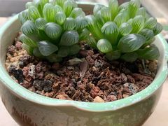 -星巴克(佛山南海万科店)