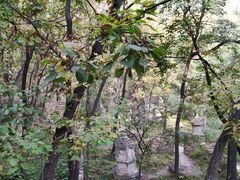 -北京上方山国家森林公园