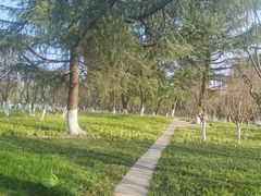 -范蠡湖公园