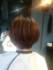 -藤野造型