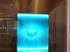 -Tiffany & Co.蒂芙尼
(南京德基广场店)