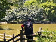 -龙头寺公园