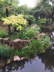 -海豚湾高端月子会所(黄浦店)