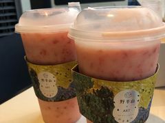 -野萃山·潮汕厚果汁(十亩地店)