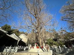 -潭柘寺景区