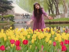 -石家庄市植物园