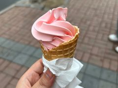 -徐升记不改良老火锅(四方利群店)