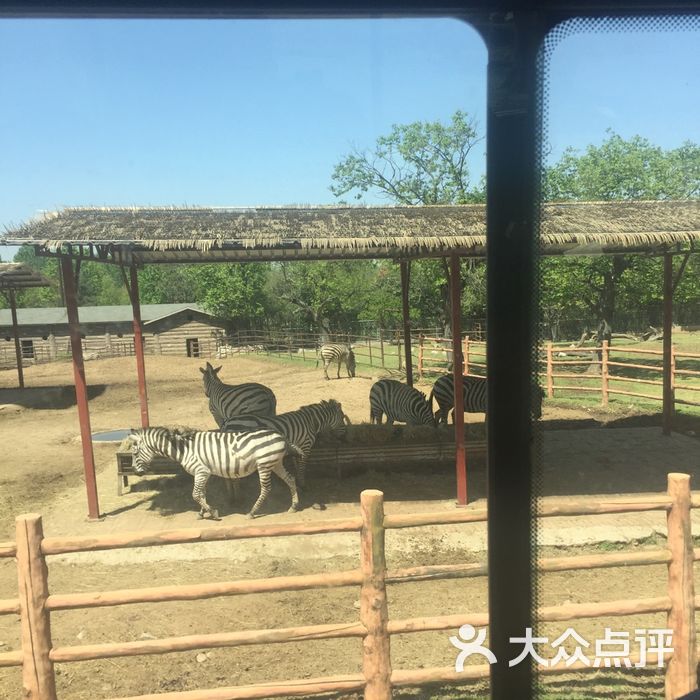 西安秦嶺野生動物園