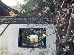 -汇龙潭