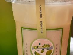 -百利宫